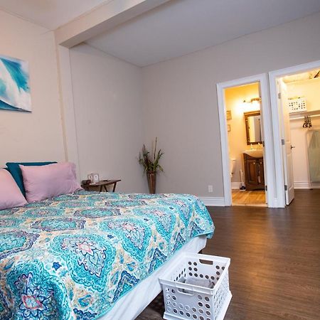 Cozy Studio In The Downtown/Montrose Area Lejlighed Houston Eksteriør billede